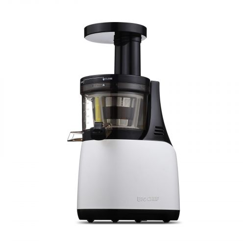 BioChef Synergy Slow Juicer - White