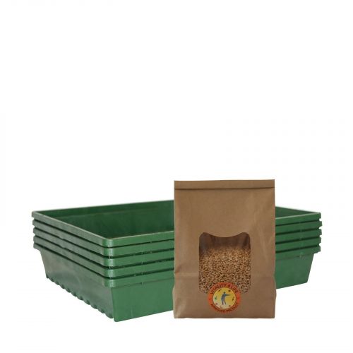 Wheatgrass Growing Kit