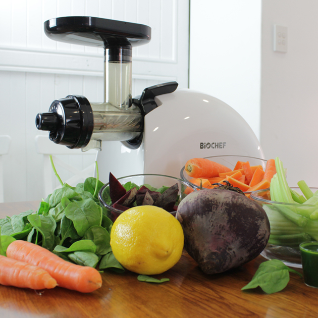 BioChef Gemini Twin Gear Cold Press Juicer