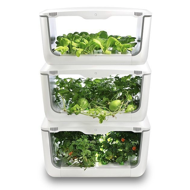 Stackable Indoor Hydroponic Garden VegeBox Home